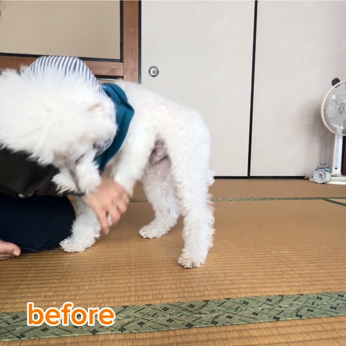 before